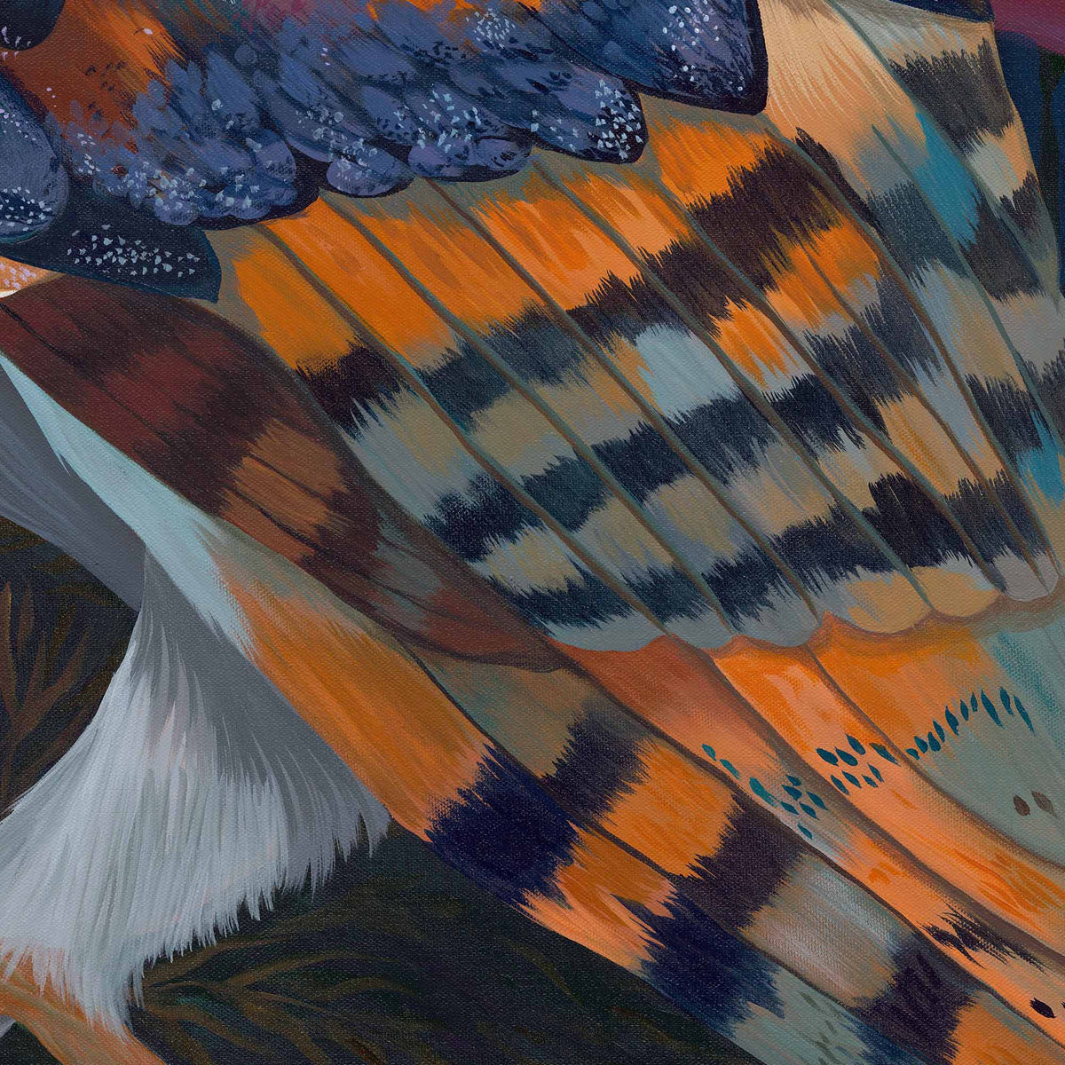 Midnight Orchard Owl - Limited Edition Fine Art Print